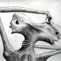 Za više sadržaja pogledajte moj blog, ,,Mentalne bolesti